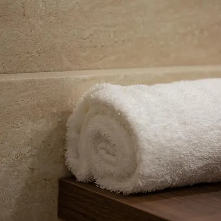 Le Zenith - Un Havre De Paix A * דקס